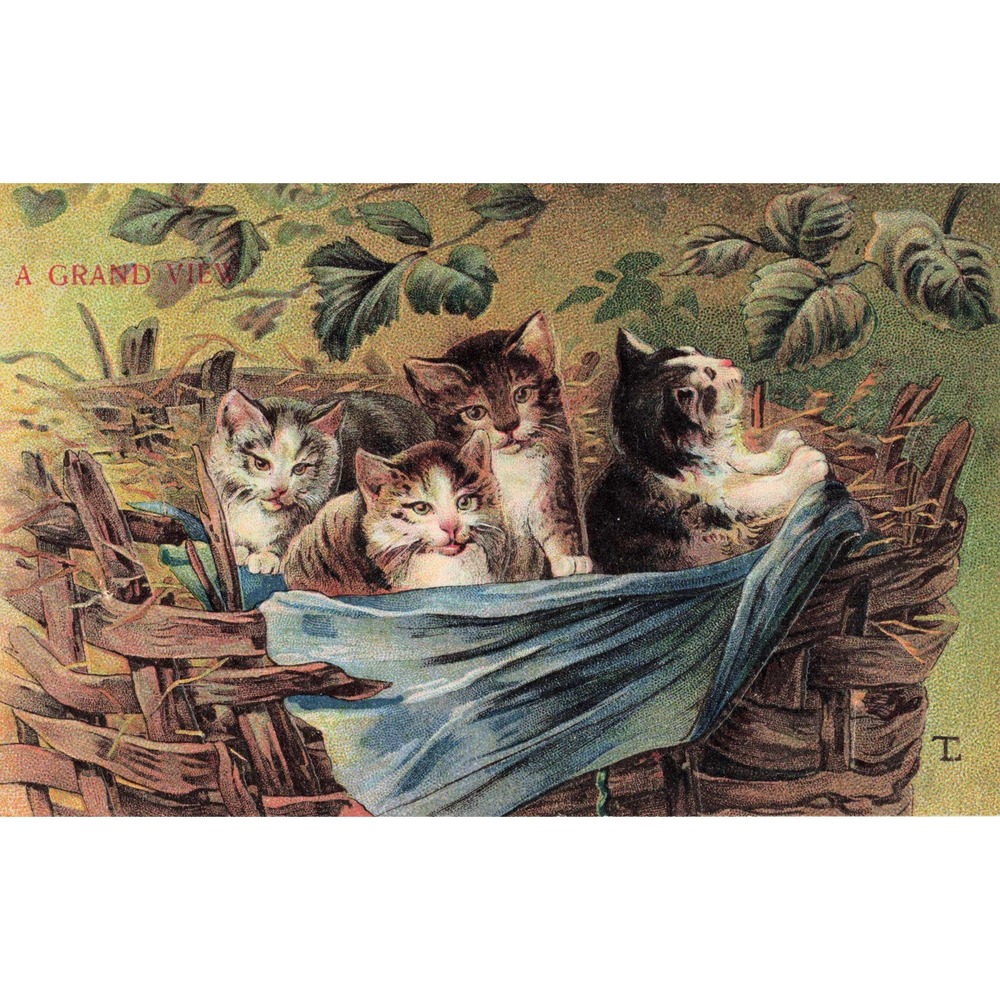 Antique Postcard A Grand View Kittens in Basket Made in Germany Serie 6/1 VG+ - Picture 1 of 2